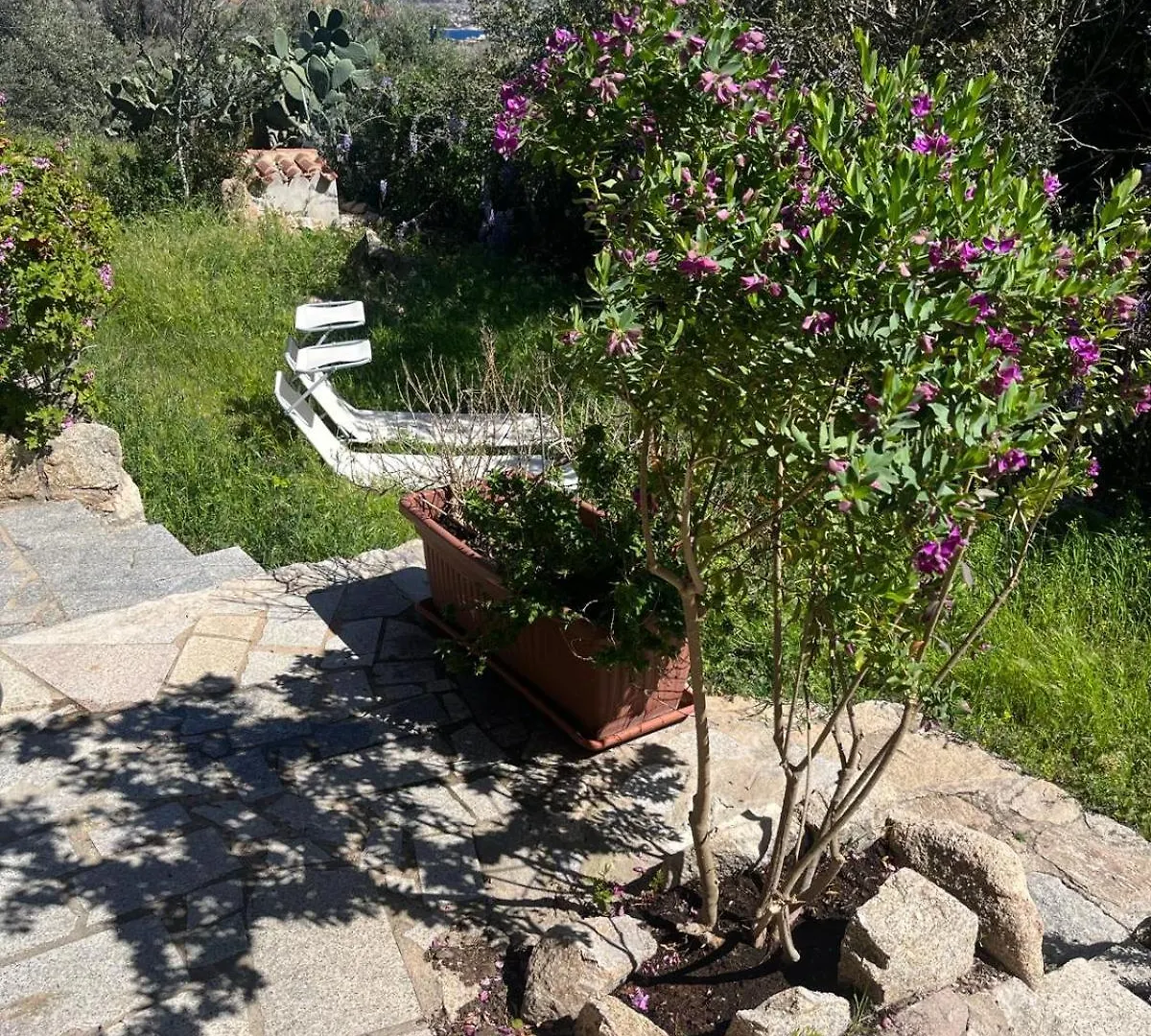 Stanza Privata Con Giardino Hotel La Maddalena  Guest house